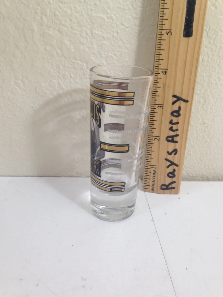 Arco de puerta de vidrio de doble tiro alto St. Louis MO Foto 2 de 4