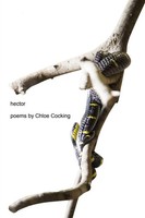 Chloe Cocking | Hector | Taschenbuch | Englisch (2019) | Kartoniert / Broschiert