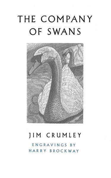 The Company Of Swans | Jim Crumley | Taschenbuch | Kartoniert / Broschiert-image