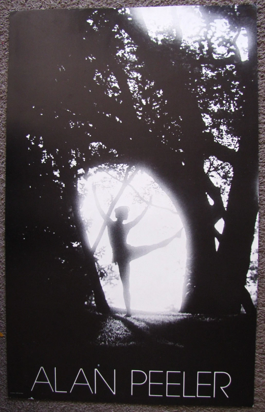 Vintage Poster Alan Peeler Sun Dance 1981