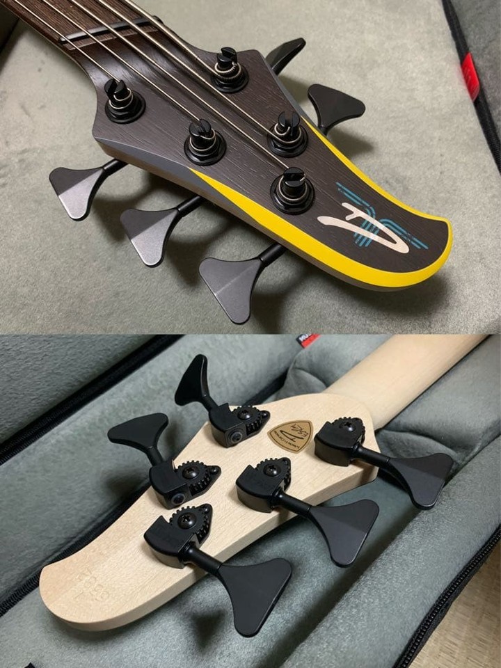 DINGWALL D-Roc Custom 5 Electric Bass Guitar | eBay