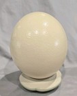 Large Blown Out Ostrich Egg Shell for Painting, Carving, Craft Decor #3