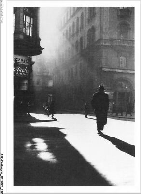 AKEP5-0416-HONGRIE - Budapest - Dämmerung Über L'Avenue Andrássy