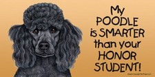 My POODLE (black) is SMARTER than your Honor Student! Car Fridge Dog Magnet 4x8