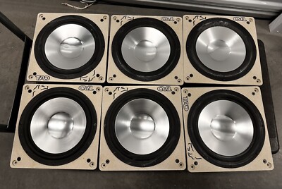 California Audio Technology (CAT) In-Wall 12'' Subwoofer