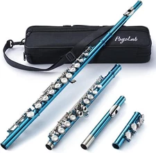 POGOLAB 26.3inch 11pcs/kit Closed Hole C 16 Keys Flute Instrument Cupronickel 
