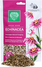 Echinacea – 100% Natural Herbal Treat for Rabbits, Guinea Pigs & Other Small Pet