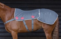 Equilibrium Therapy Magnetic Back Pad Equilibrium Therapy Magnetic Back Pad