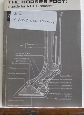 the horse's foot: a guide for A.F.C.L students