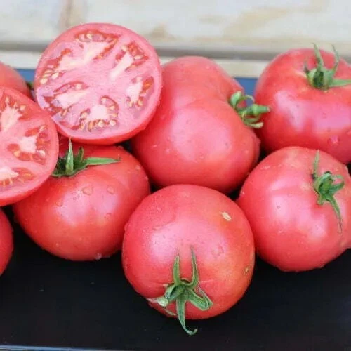 Lot De 10 Graines De Tomate Rose De Berne Semences Graines Seed
