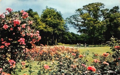 st-Cyr-En-Talmondais - Park Floral Der Justiz- D'Aron - Der Rosengarten