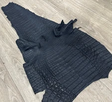 XXL Blue Navy Genuine Caiman Crocodile belly Hide Leather Skin Gator Croc 374