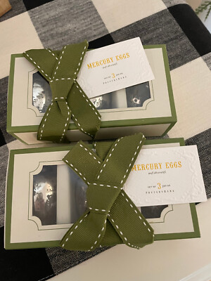NWT 2 Sets Pottery Barn Mercury Glass Egg Ornaments