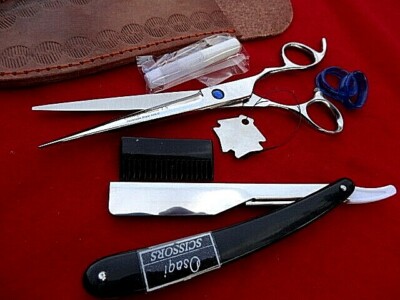 120DayWRTY_7.5'' Hairdressing Hair Scissors Shears/440c Japanese Steel + Razor