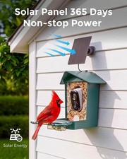 Solar Smart Bird Feeder Camera Bird Feeder Cam AI Bird Species Identification 
