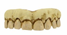 Hyfive Fake Teeth Fancy Dress Halloween Party Costume Skeleton