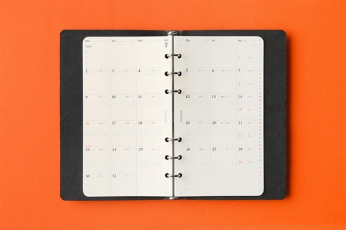 PLOTTER 001 Refill 2026 Edition Monthly Block Bible size - Picture 7 of 12