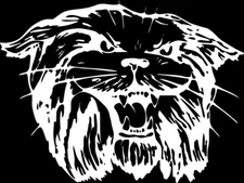 Crazy Cat Mascot 1 Color Window Wall Vinyl Decal Sticker Printed Graphic