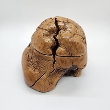 Beautiful Medium Exotic Manzanita Wood Burl Box  Natures Sculptures