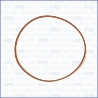 Ajusa 24028700 Dichtung, AnsaugkrüMmer FüR Chevrolet, Fiat, Oldsmobile, Opel,