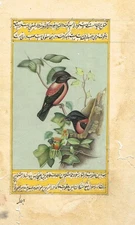 Hand Made Mughal Miniature Painting Of Bird Miniature Painting On Paper6x9.5"