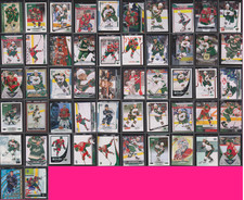 Minnesota Wild HUGE 53 Card Lot READ Collection!
