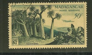 MADAGASCAR C58 USED POCHYPODES #3