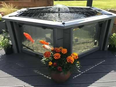garden aquarium