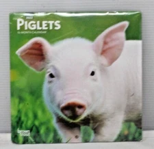 BrownTrout: Piglets 2022 Mini Wall Calendar - NEW