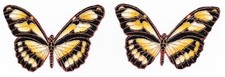 yellow butterfly fabric applique iron on not embroidered 2.5  inch
