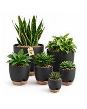 Bamworld 6 Pcs Self Watering Plant Pots Plastic Flower Pots Multi-Size Black