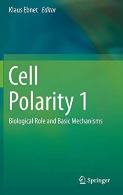 Cell Polarity 1: Biological Role and Basic Mechanisms (2015)