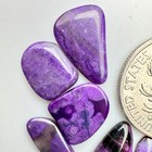Foto 7 di 12