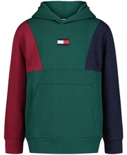 Tommy Hilfiger Toddler Boys Retro Colorblock Pullover Hoodie - Botanical Garden