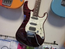 Used SCHECTER EX-IV-22CTM Electric Guitars w/...