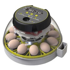 High-Efficiency 12 Egg Incubator   Built-In Candler  Easy Humidity Management