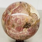 Natural Petrified Wood Polished Stone Quartz Crystal Sphere Ball Healing 3600G — photo 3