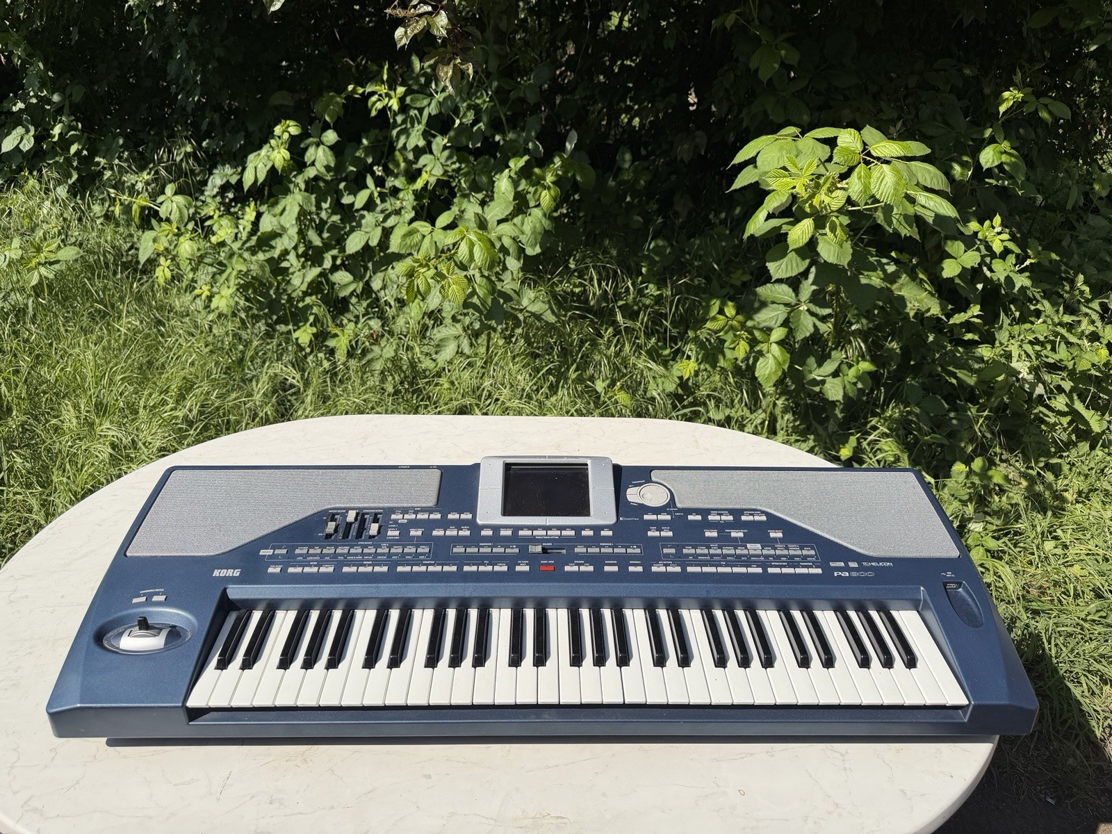 KORG pa 800 Keyboard (8804)