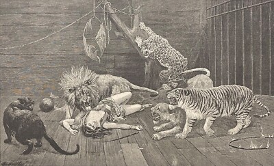 Tiger Löwe Panther Leopard Zirkus Stanley Berkeley (1855 1909) Rebellion C 1880