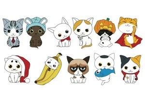 purrfect sneaker outlet