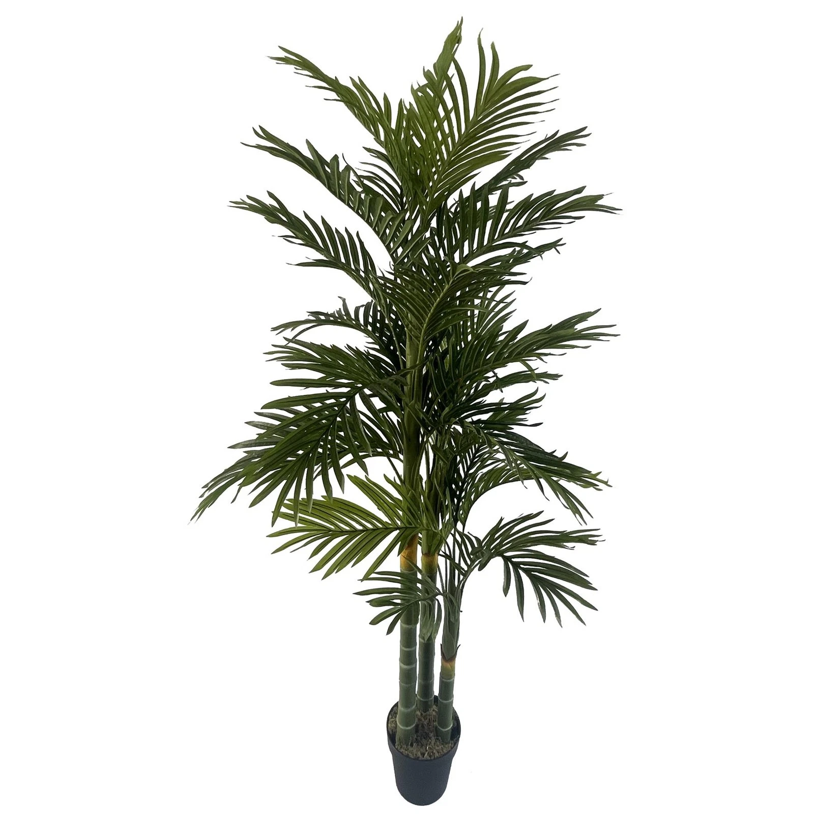 180cm Tropical Palm - 40994