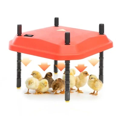 Fudajo Chioccia artificiale per 15-20 pulcini 25x25cm 30W Piastra termica