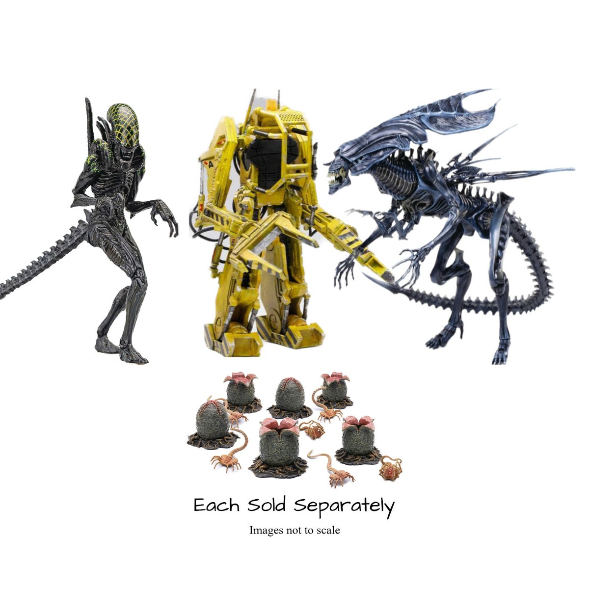 【HIYA TOYS】正規品 エクスクイジット ミニ エイリアン エッグ 81v1w7tx7fL._UF894,1000_QL80_.jpg