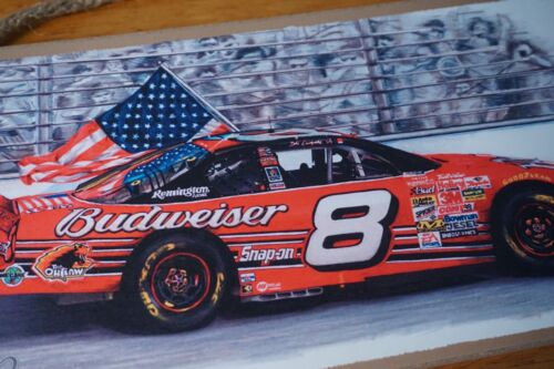 Budweiser Dale Earnhardt Jr. #8 Chevy Monte Carlo Rennwagen amerikanische Flagge Schild - Bild 3 von 5