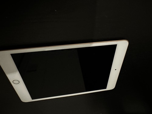 Apple iPad Mini (5th Generation) 64GB - Space Grey - Picture 1 of 5