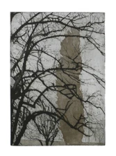 Nelly Sorokko Original Aquatint Art Print Landscape Cypress American Modernist