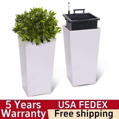 vigoro dracaena Dracaena 'Michiko'  Green Acres Nursery & Supply