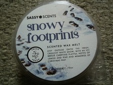 Bundle of 5 50g Sassy Shop Wax Wax Tart Melt Pods WINTER FESTIVITIES