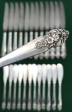 25 Pc DISTINCTION Silverplated MASTER BUTTER, SPREADERS & DINNER KNIVES Prestige