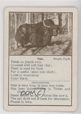 1903 Cincinnati Games Wild Animals Yak #YAK 0w6